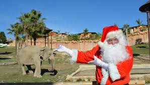 Santa Claus in Benidorm